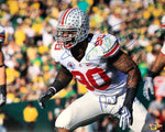 Thaddeus Gibson Ohio State Buckeyes 16-9 16x20 Autographed Signed Photo - Certified Authentic