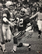 Mike Sensibaugh Ohio State Buckeyes 16-1 16x20 Autographed Signed Photo - Certified Authentic