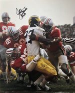 Jim Stillwagon Ohio State Buckeyes 16-2 16x20 Autographed Signed Photo - Certified Authentic