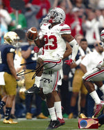 Tyvis Powell OSU 8-1 8x10 Autographed Photo - Certified Authentic